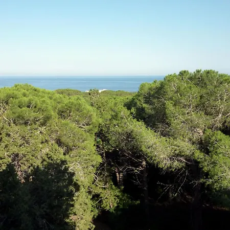 La Bouganville Cala Gonone