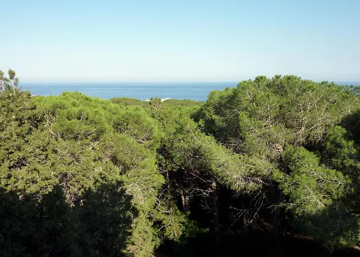 La Bouganville Cala Gonone