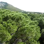 La Bouganville Cala Gonone